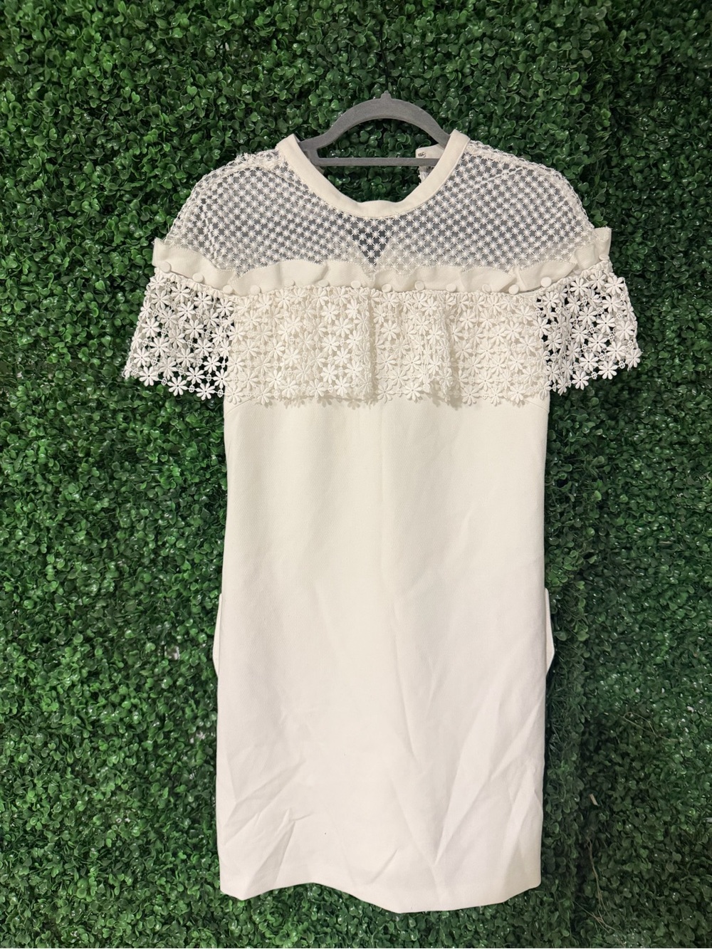 Adrianna Papell Ivory Lace Detail Mini Dress